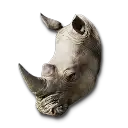 Baby Rhino
