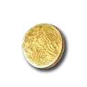 Gold Coin
