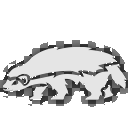 Honey Badger